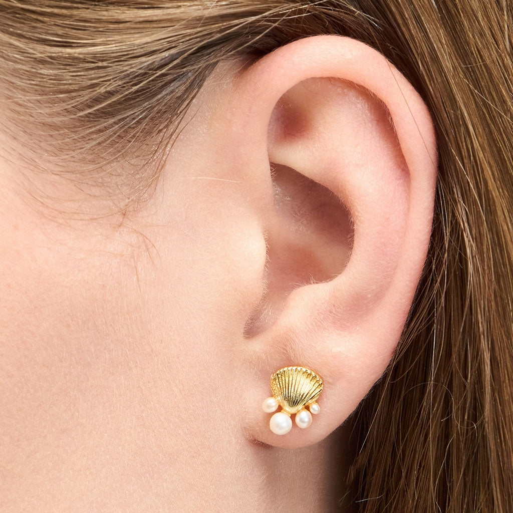 LULU Copenhagen Bouquet Shell & Pearls ørering 1 stk. Ear stud, 1 pcs Forgyldt