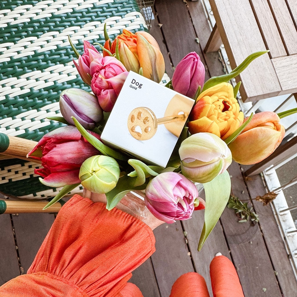 LULU Copenhagen Dog ørering 1 stk Ear stud, 1 pcs Forgyldt