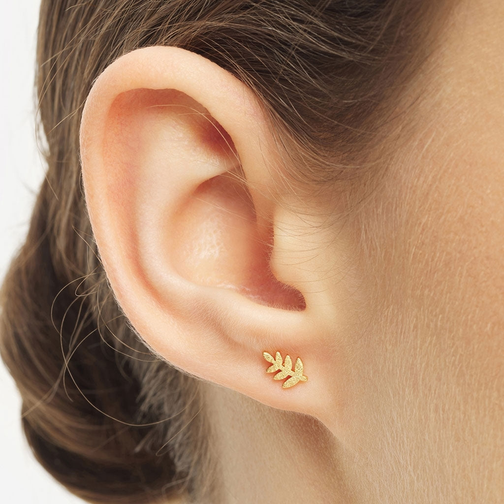 LULU Copenhagen Olive Branch 1 stk Ear stud, 1 pcs Forgyldt